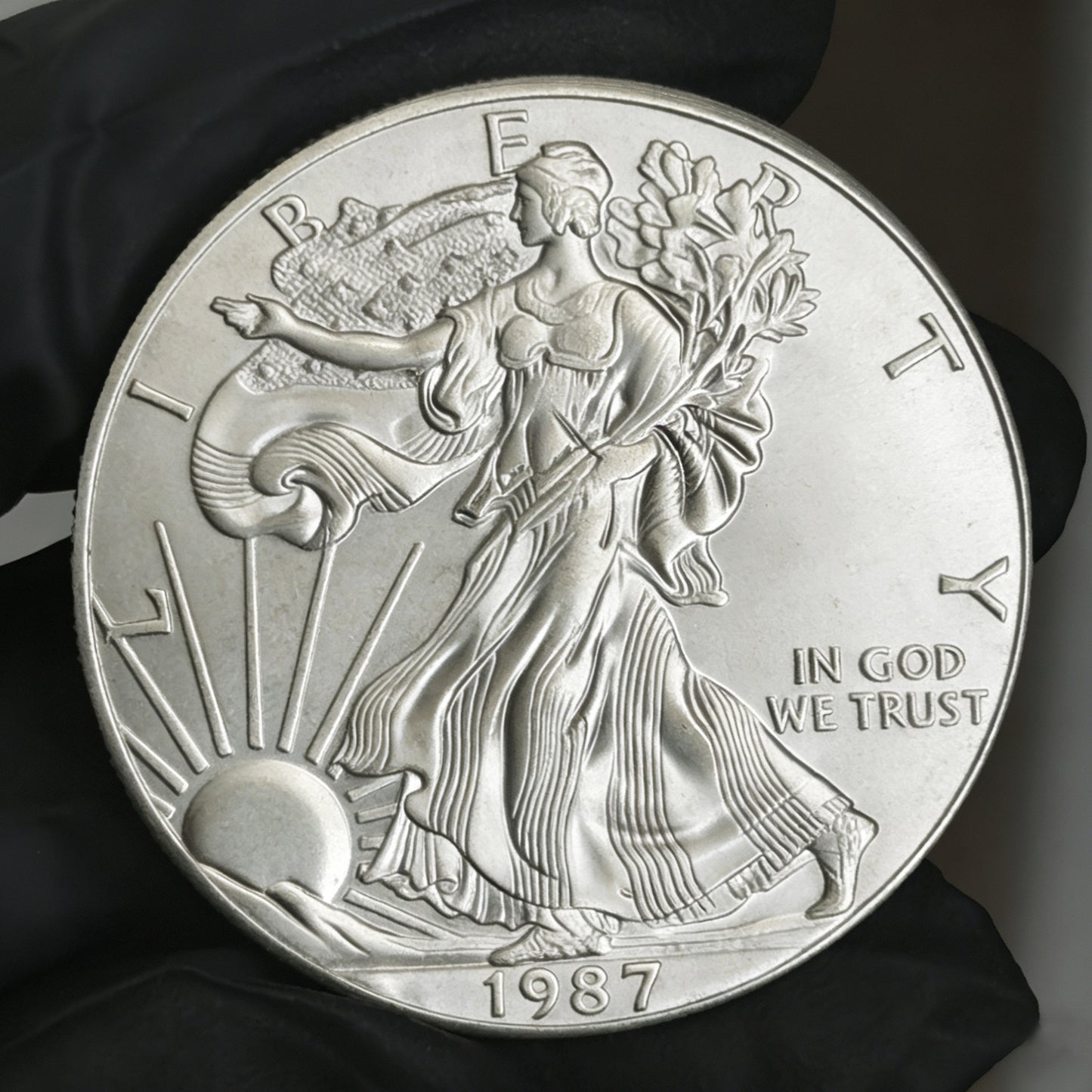1986-2013 American Silver Eagle Coin