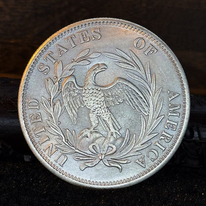1795-1804 U.S. Flowing Hair Liberty Coin