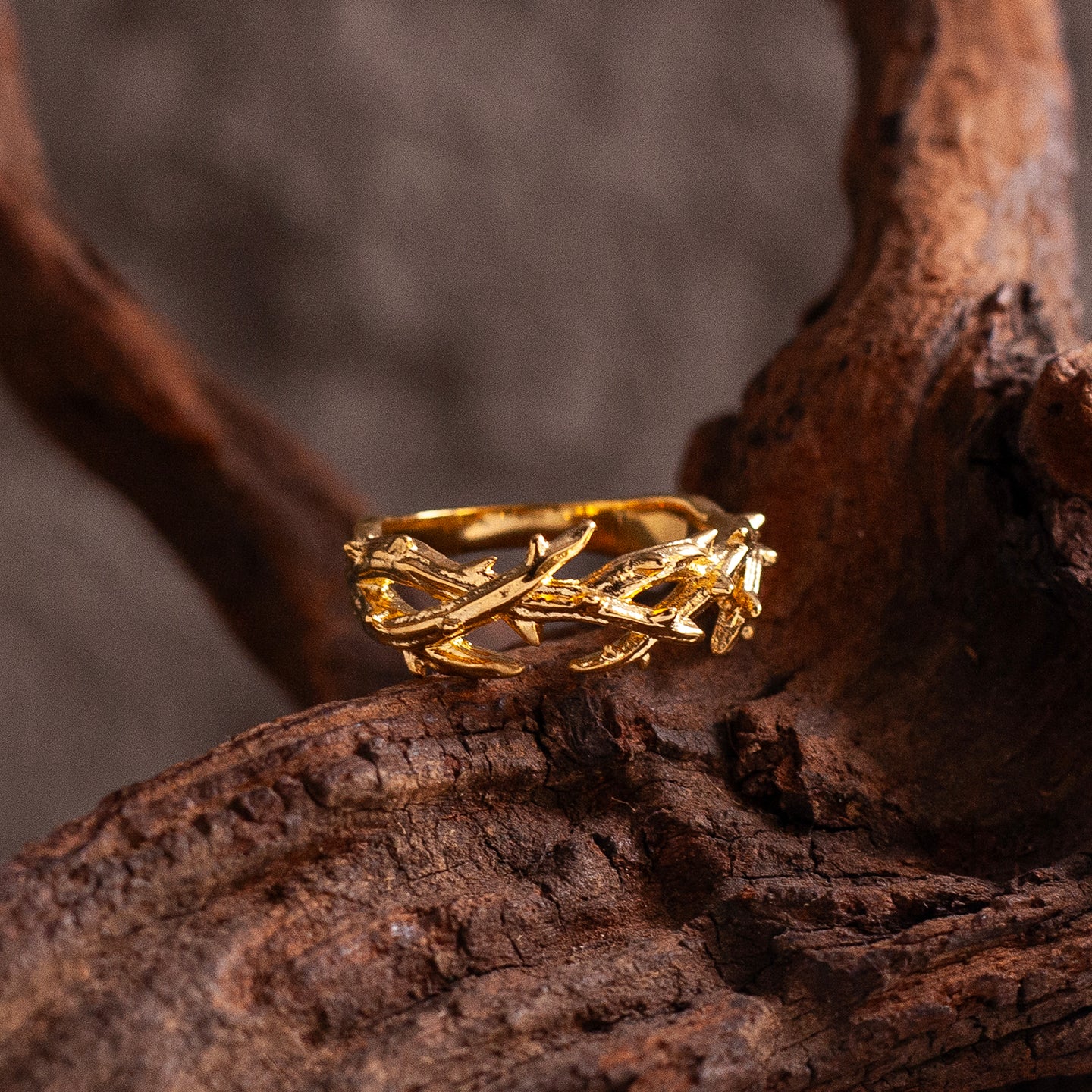 “Endure and Rise” | Vintage Black Thorn Ring