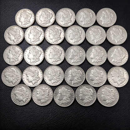 1878–1921 US Morgan Silver Dollar (S Version)