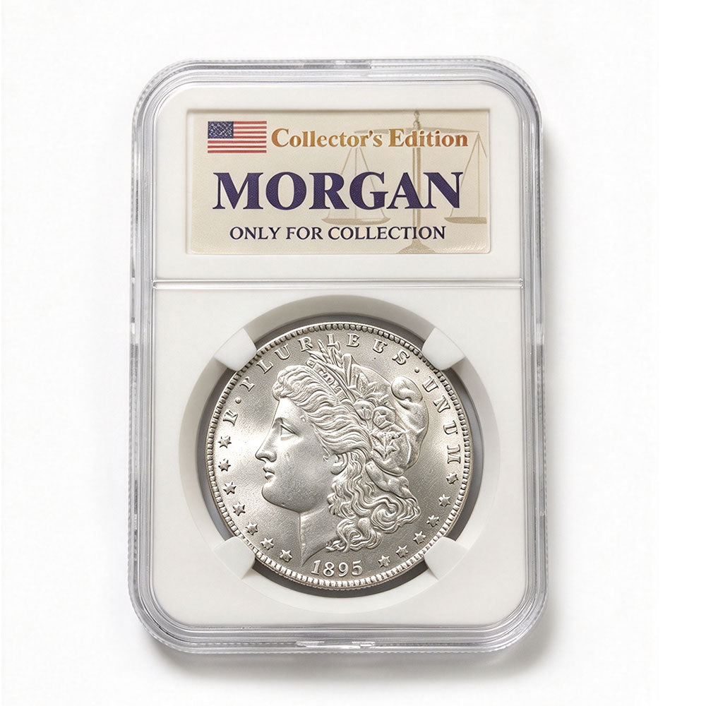 1895 US Morgan Silver Dollar With Case (P Version)