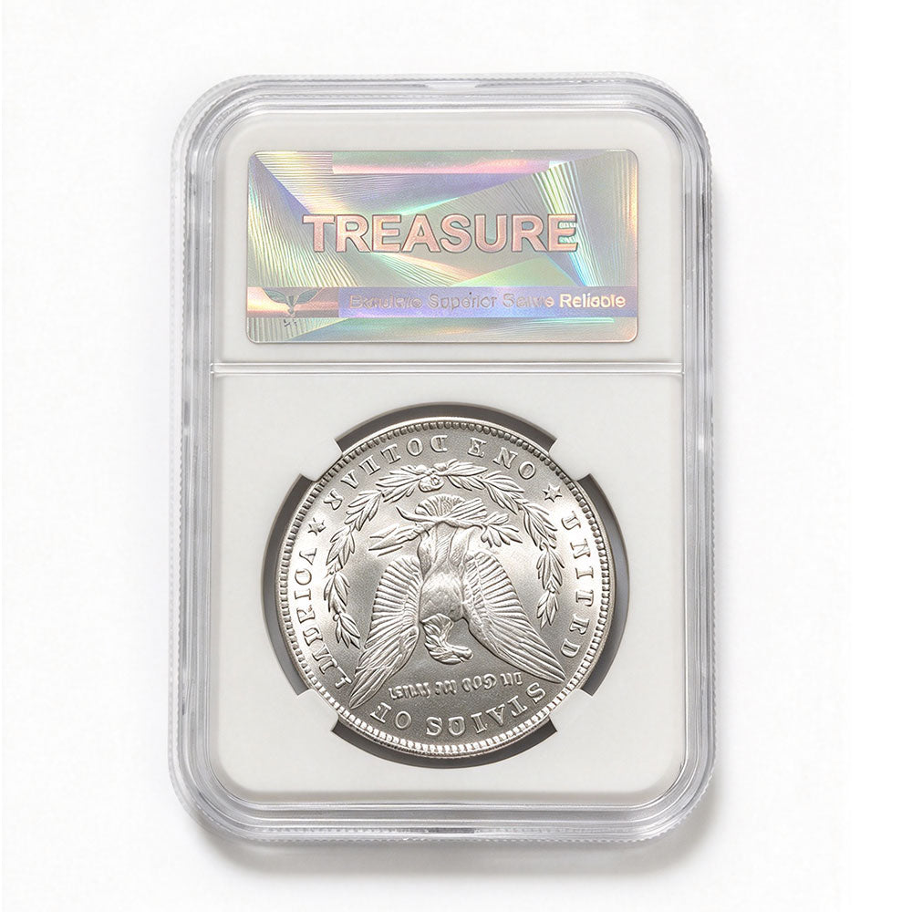 1895 US Morgan Silver Dollar With Case (P Version)