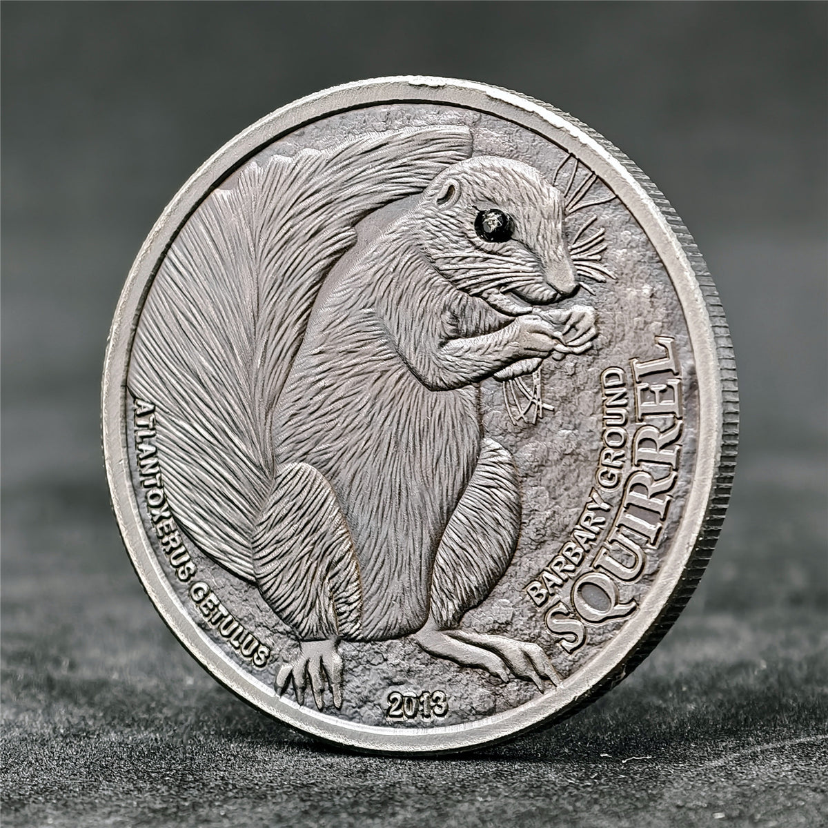 16 Animals Rhinestone 3D Relief Coin