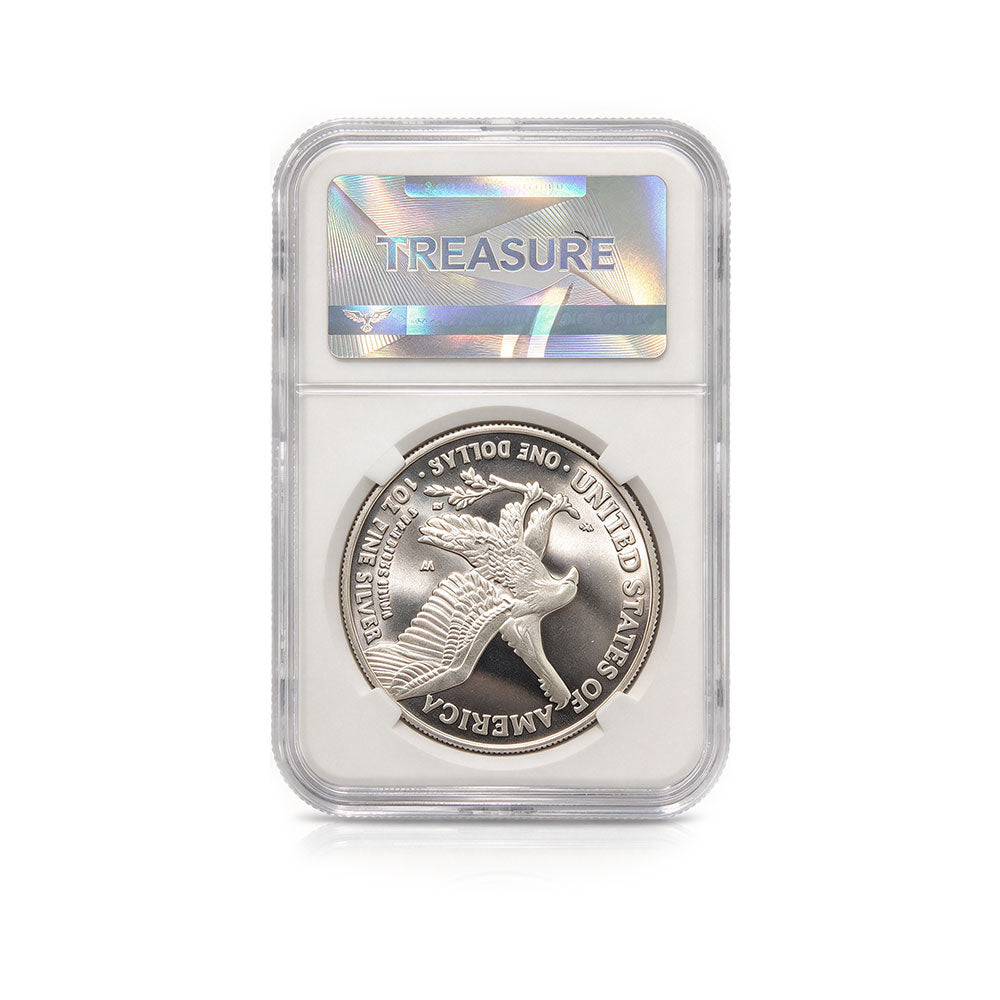 250 Privy US Silver Eagle With Air-Cushion Protective Case