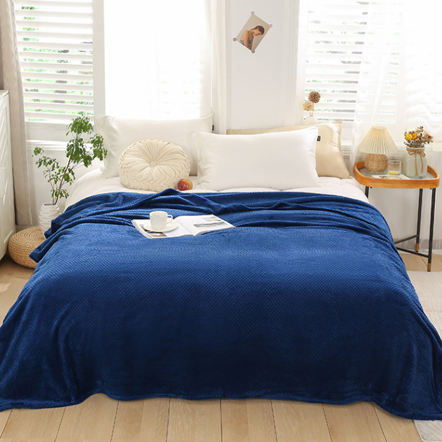 🔥Hot Sale--Winter Warm Soft Coral Fleece Throw Blanket Bed Quilt