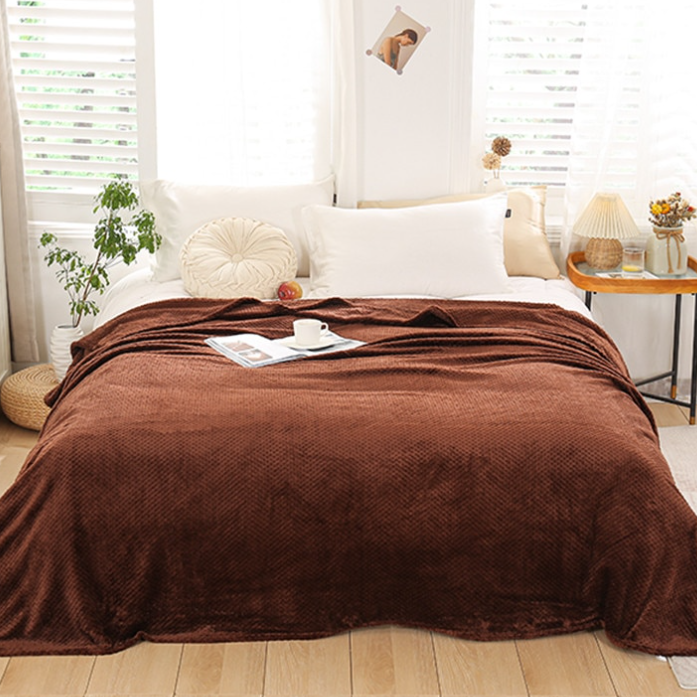 🔥Hot Sale--Winter Warm Soft Coral Fleece Throw Blanket Bed Quilt