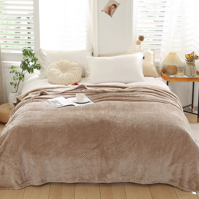 🔥Hot Sale--Winter Warm Soft Coral Fleece Throw Blanket Bed Quilt